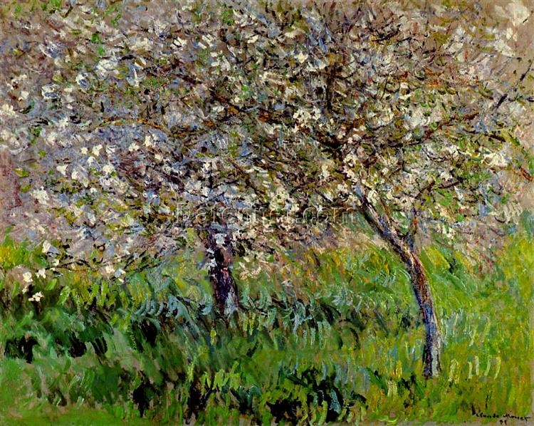 Monet’s Apple Trees in Bloom at Giverny 1900-1901 – High-Quality Reproduction for Living Room Art