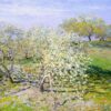 apple trees in bloom1.jpgLarge