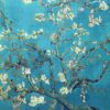 branches with almond blossom 18901.jpgLarge