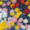 chrysanthemums 1897.jpgLarge