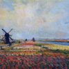 fields of flowers and windmills near leiden.jpgLarge 1