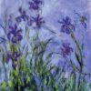 lilac irises 1917.jpgLarge