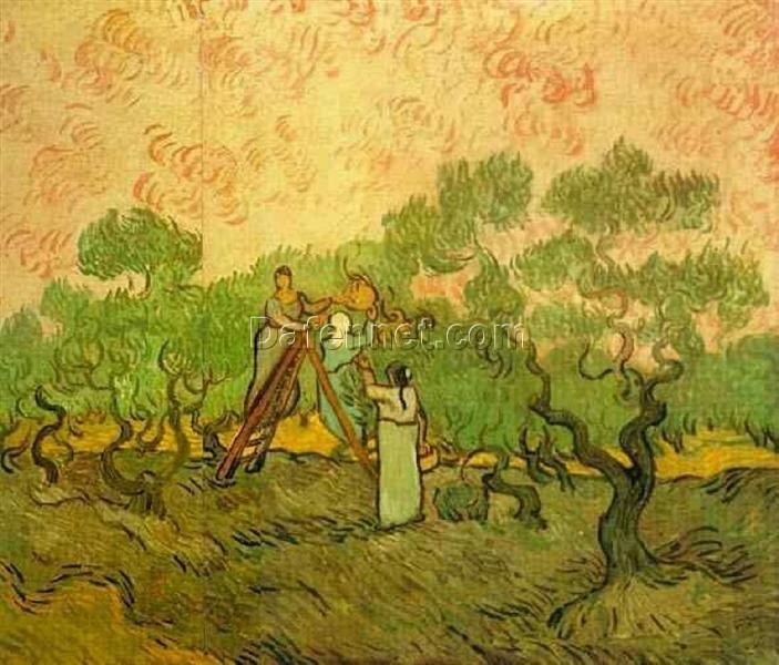 Custom Oil Painting of Olive Picking (1889) by Vincent van Gogh – Perfect for Art Enthusiasts, Crafted in Dafen Village