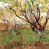 orchard in blossom 1888.jpgLarge