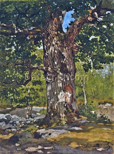 Dafen Village Studio Custom Oil Painting of The Bodmer Oak by Claude Monet (1865) – Authentic Reproduction