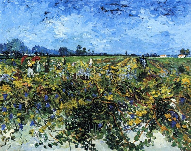 Authentic Van Gogh 1888 The Green Vineyard – Handcrafted Oil Painting Reproduction