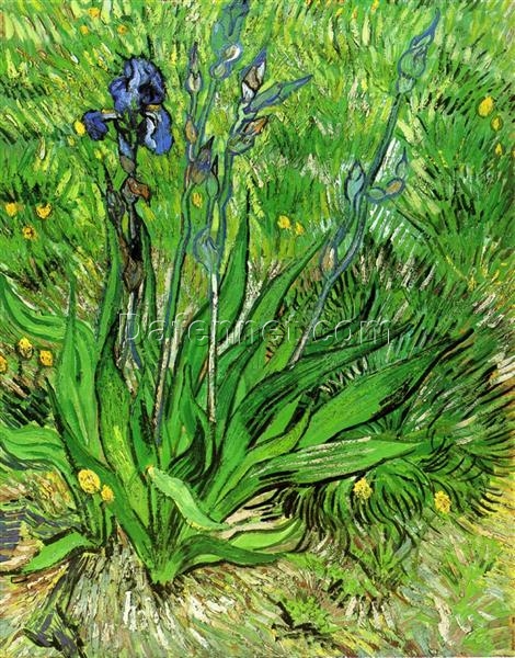 The Iris by Van Gogh – 1889 Oil Painting Reproduction, High-Quality Canvas Art