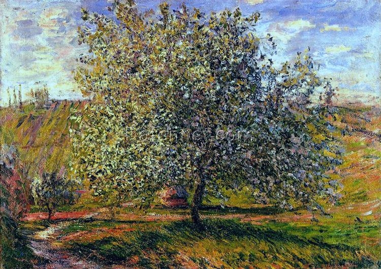 Claude Monet Oil Painting Reproduction – Tree in Flower near Vetheuil (1879), Impressionist Floral Artwork on Canvas