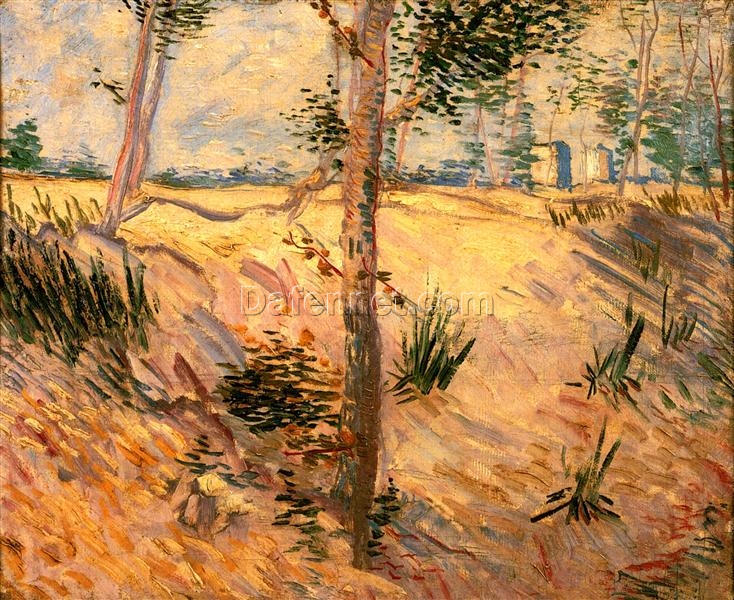 Authentic Van Gogh 1887 Trees in a Field on a Sunny Day – Handcrafted Oil Painting Reproduction