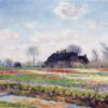 tulip fields at sassenheim near leiden 1886.jpgLarge