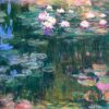 water lilies 1917 4.jpgLarge