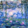 water lilies 1919 1.jpgLarge