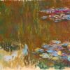 water lilies 1919 7.jpgLarge