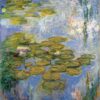 water lilies 1919.jpgLarge