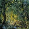 weeping willow 2 1919.jpgLarge