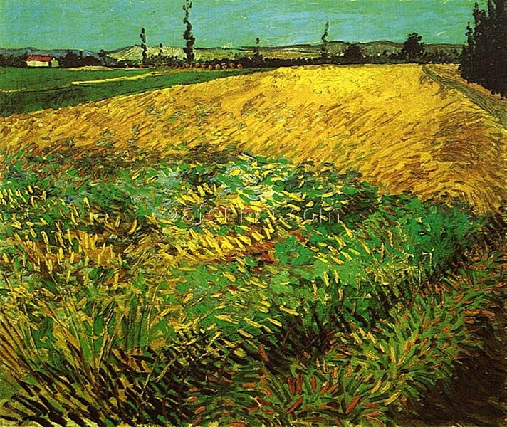 Wheat Field with the Alpilles by Vincent van Gogh – 1888 Museum-Quality Print