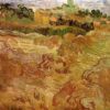 wheat fields with auvers in the background 1890.jpgLarge