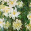 white clematis 1887.jpgLarge