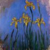 yellow irises 1917.jpgLarge