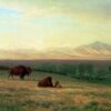 Albert Bierstadt Buffalo on the Plains c1890 MeisterDrucke 819542