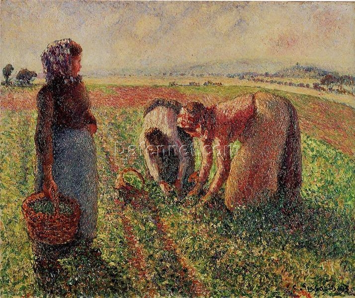 Picking Peas” (c.1893) – Impressionist Painting of Rural Labor by Camille Pissarro