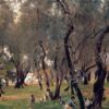 the olive grove.jpgLarge