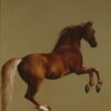 whistlejacket.jpgLarge