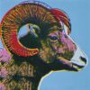 bighorn ram endangered species 1983