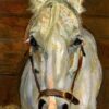 grey gelding.jpgLarge