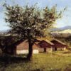 swiss landscape with flowering apple tree.jpgLarge