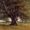 the oak of flagey the oak of vercingetorix 1864.jpgLarge