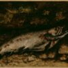 the trout 1873.jpgLarge